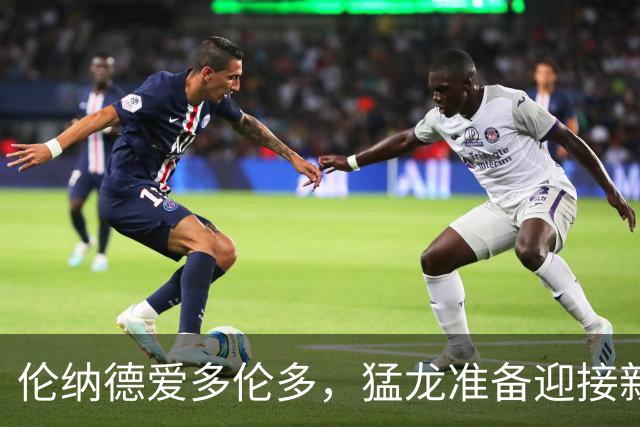 伦纳德爱多伦多，猛龙准备迎接新篇章！
